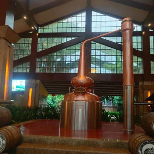 alcohol distillation column